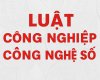 Nên ban hành phụ lục phân loại tài sản số  crypto, token, dữ liệu, NFT...) để ...